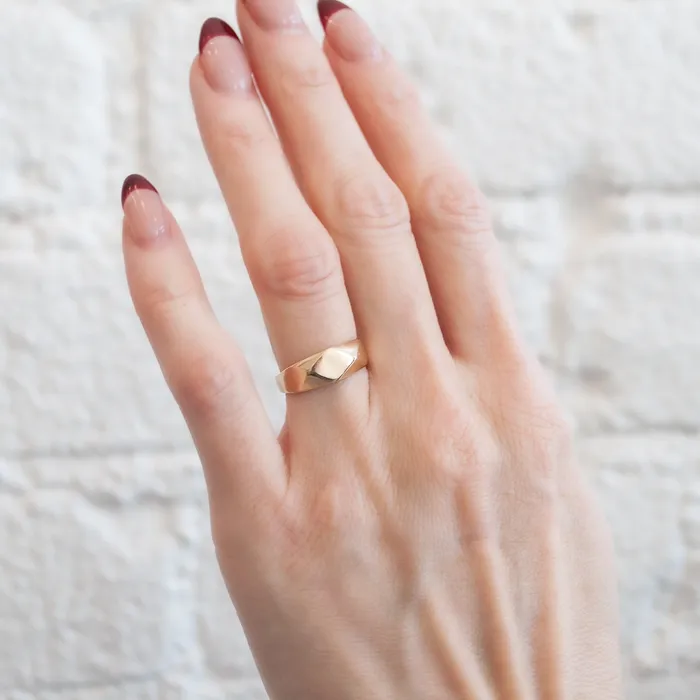 Adeline Rings Gold Plane Signet Ring