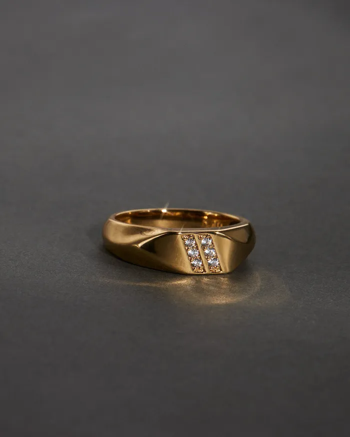 Luv Aj Rings TT Two Stripe Ring Luv Aj Rings TT Two Stripe Ring